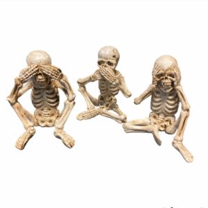 Mini skeleti