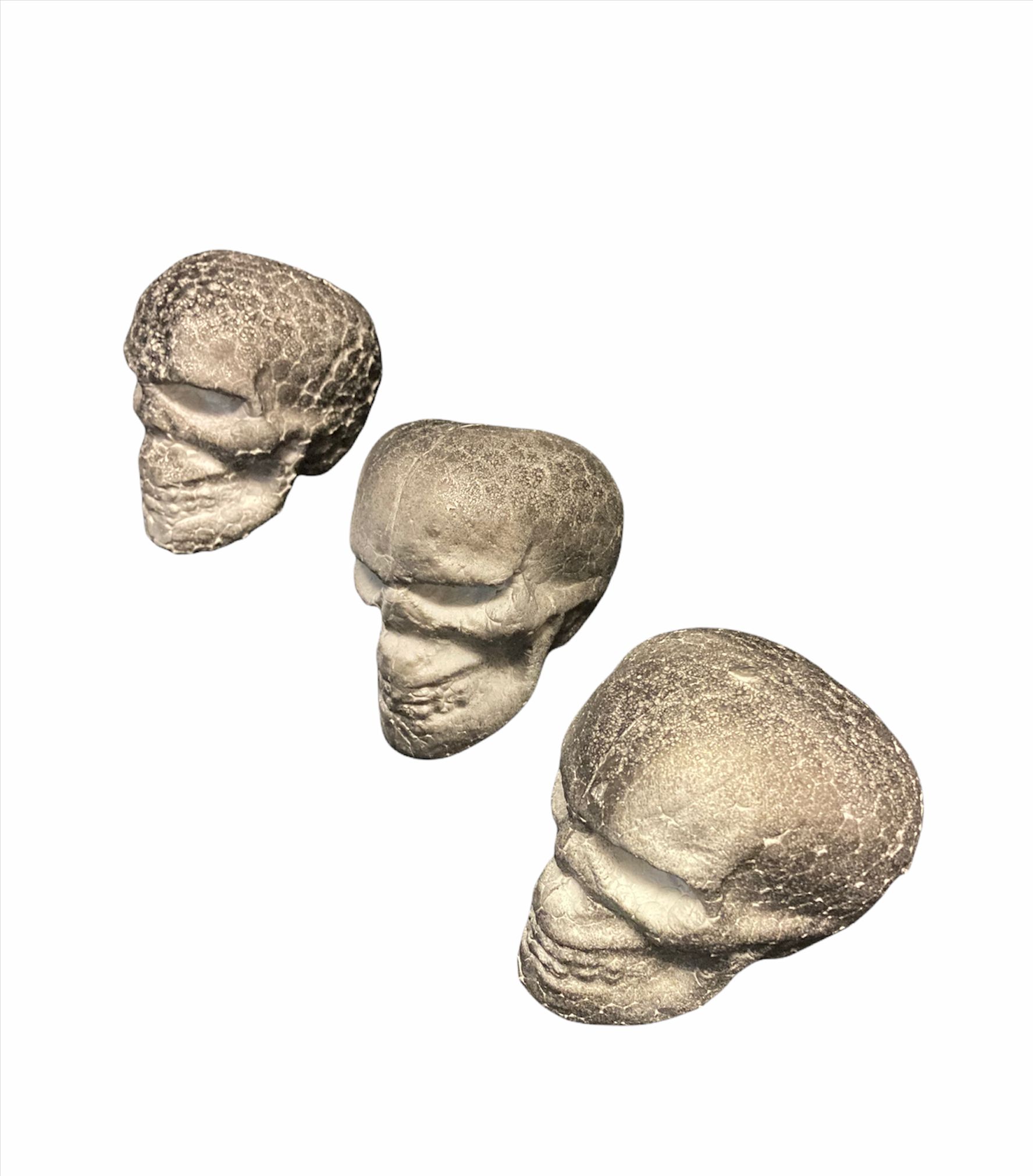 Mini galvaskausi