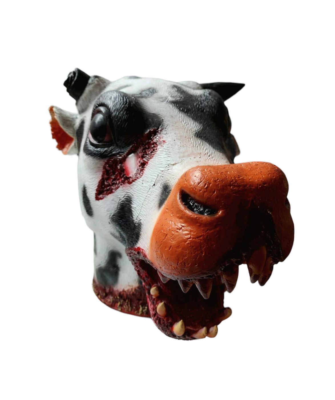 Govs galva