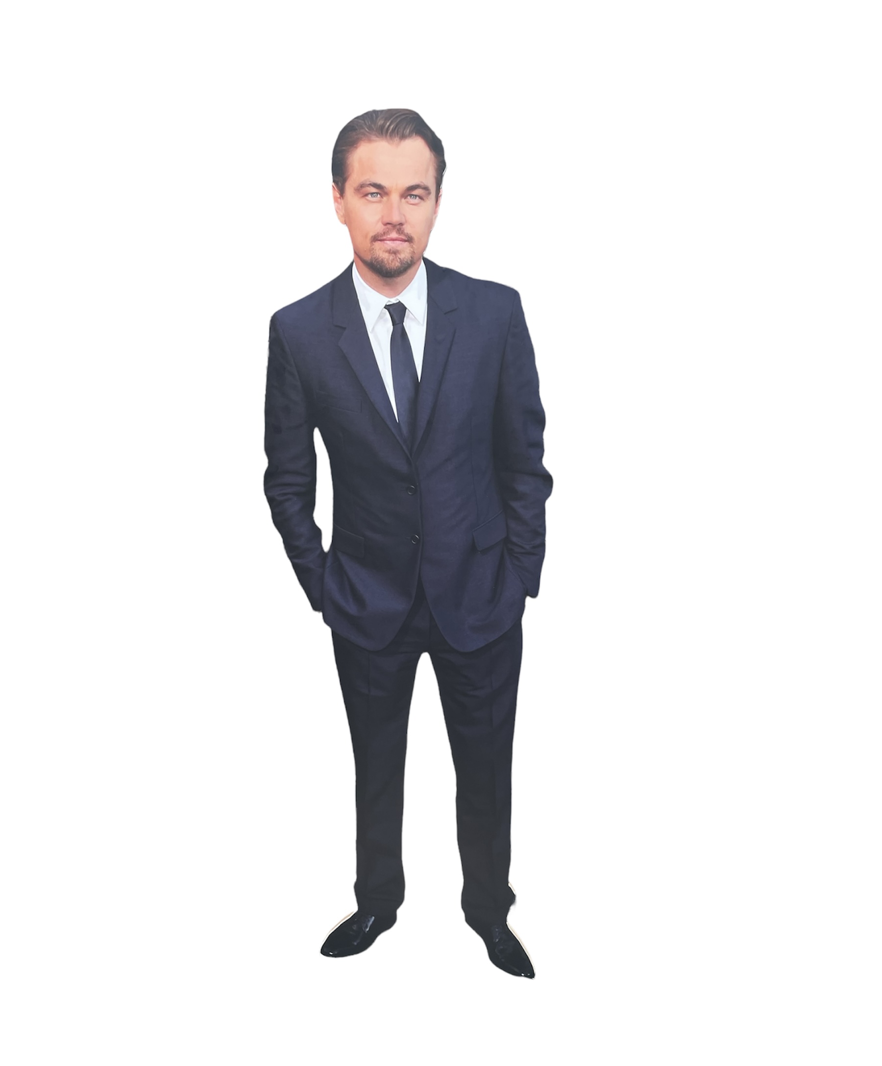 Leonardo Di Kaprio 2D