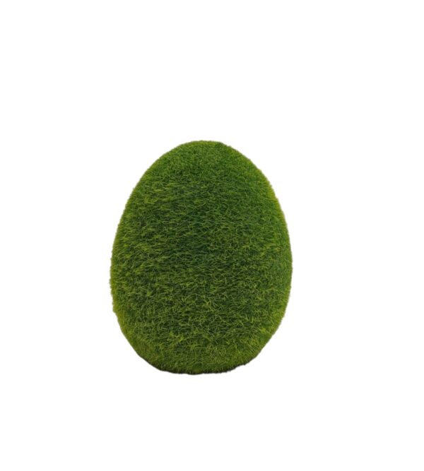 Zāles ola H13cm