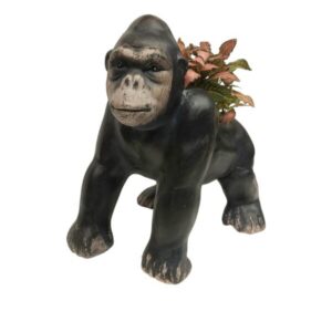 Mini gorilla