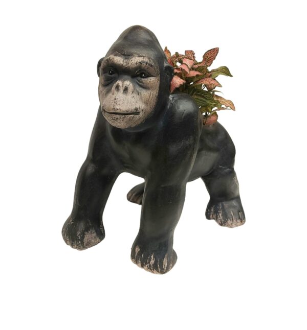 Mini gorilla