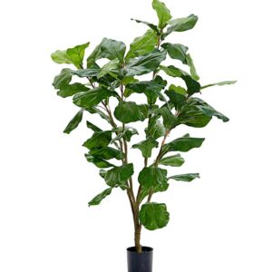 Fikuss 120cm