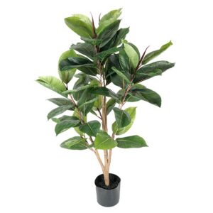 Fikuss 90cm