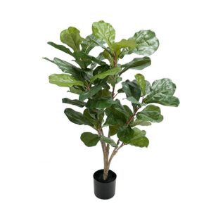 Fiolfikus 90cm