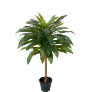 Dracena 100cm