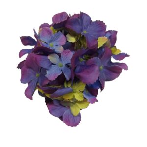 Violeta hortenzija