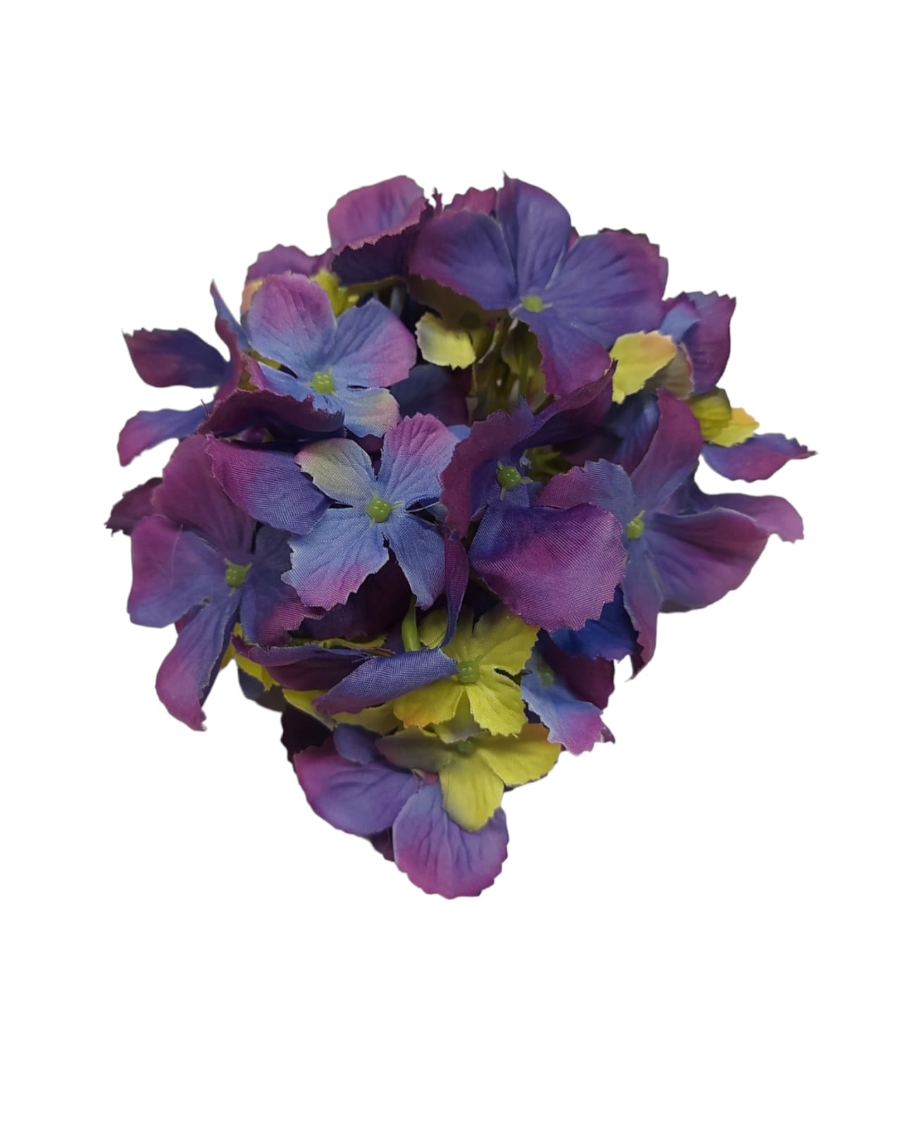 Violeta hortenzija