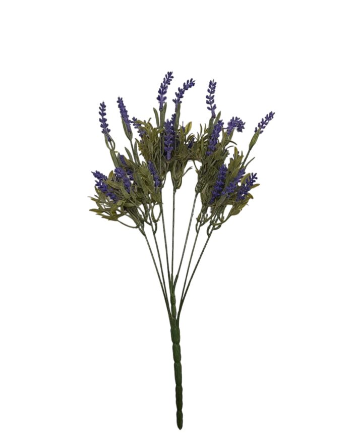 Lavanda H40cm