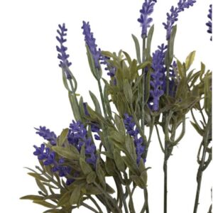 Lavanda H40cm