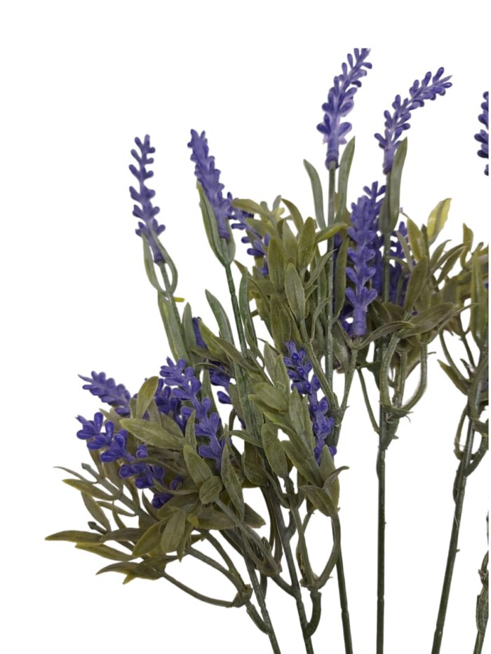 Lavanda H40cm