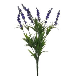 Lavanda H45cm