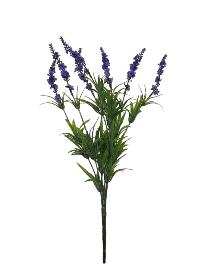 Lavanda H45cm