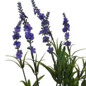 Lavanda H45cm