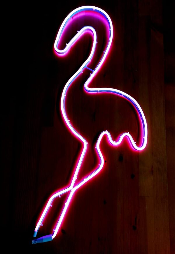 Neona flamingo