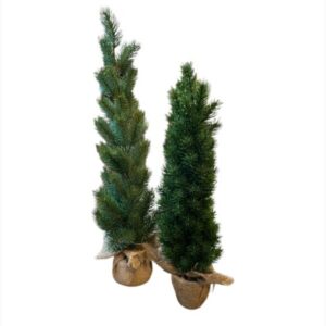 Mini eglīte 50-60cm