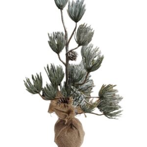Mini priede 40cm