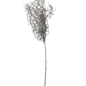 Sudraba zariņš 60cm