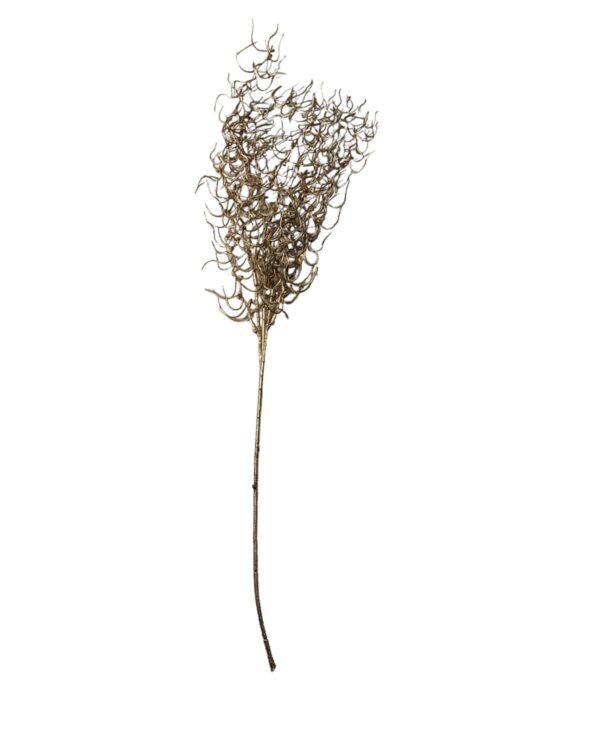 Zelta zariņš 60cm