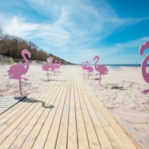 Flamingo rozā krāsā