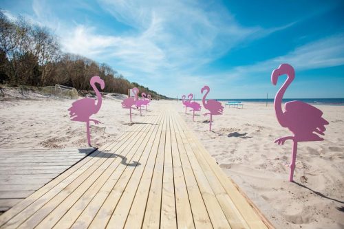 Flamingo rozā krāsā