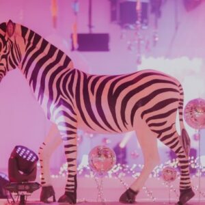 Zebra