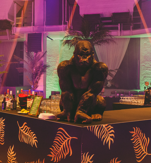 Gorilla