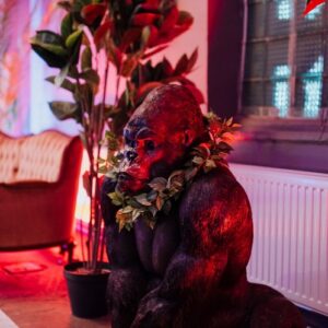 Gorilla