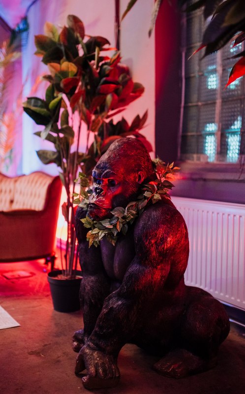 Gorilla