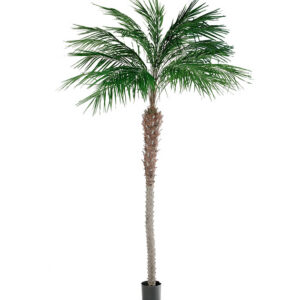 Mākslīgā palma 3m