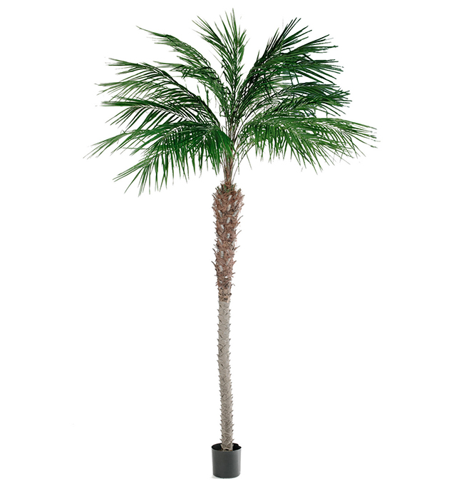 Mākslīgā palma 3m