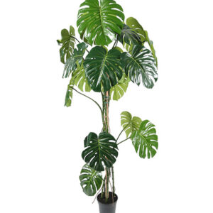 Mākslīga monstera 1.8m