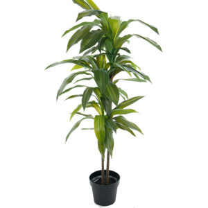 Mākslīgs koks "Dracena" 1.4m