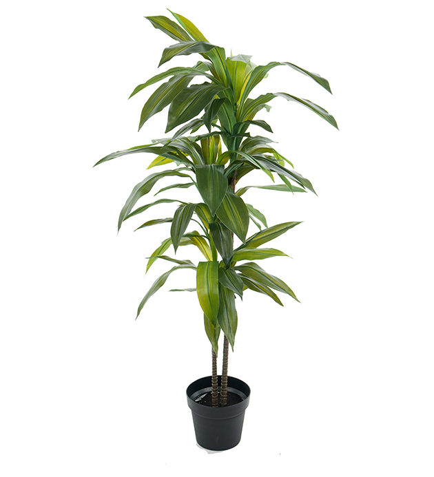 Mākslīgs koks "Dracena" 1.4m
