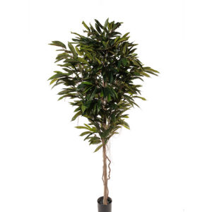 Mākslīgs koks "Longifolia" 2m