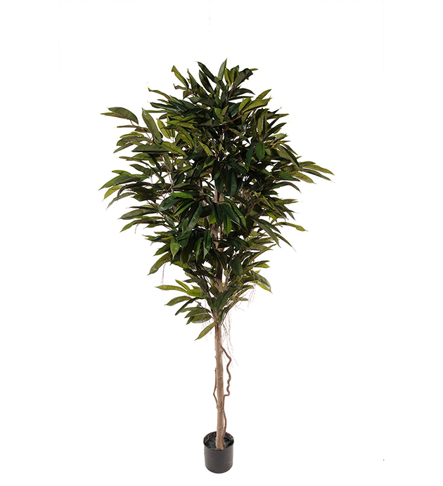Mākslīgs koks "Longifolia" 2m