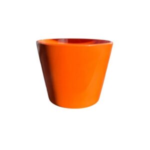 Oranžs pods